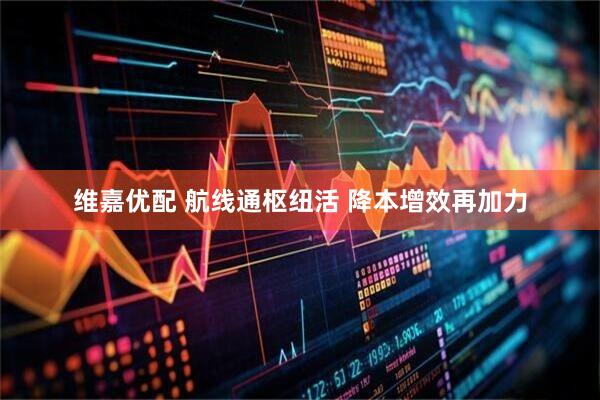 维嘉优配 航线通枢纽活 降本增效再加力