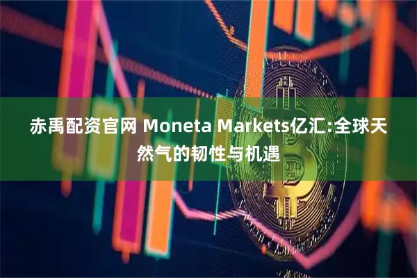 赤禹配资官网 Moneta Markets亿汇:全球天然气的韧性与机遇